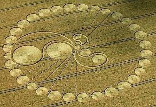 麦田里的麦子被制作成各种 怪圈 科学家 外星人传递的信息 今日焦点